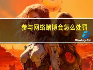 参与网络赌博会怎么处罚
