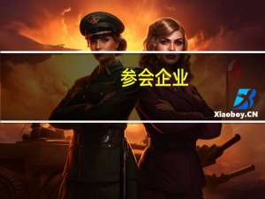 参会企业：铁矿石价格出现过快上涨后期面临下行压力