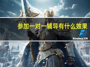 参加一对一辅导有什么效果