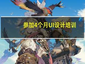 参加4个月UI设计培训，出来大概是个什么水平