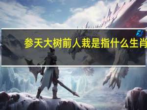 参天大树前人栽是指什么生肖（参天大树前人栽是什么生肖）