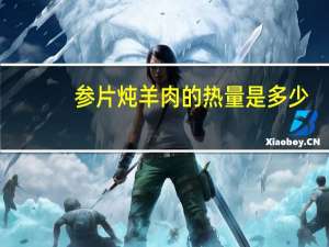 参片炖羊肉的热量是多少？
