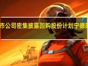 又一批上市公司密集披露回购股份计划 宁德时代提议20亿元-30亿元回购公司股份