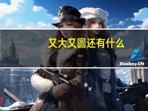 又大又圆还有什么