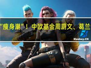 又现百亿基金经理加入“瘦身潮”！中欧基金周蔚文、葛兰调整在管产品 到底什么情况嘞