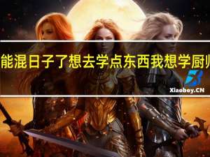 又过了一年 又大了一岁不能混日子了想去学点东西  我想学厨师  不知道哪学好   我是山东泰安的