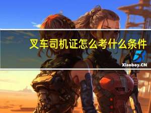 叉车司机证怎么考什么条件