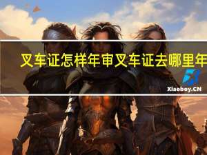 叉车证怎样年审 叉车证去哪里年审