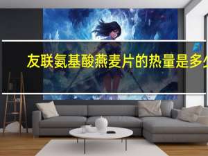 友联 氨基酸燕麦片的热量是多少