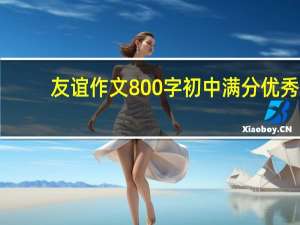 友谊作文800字初中满分优秀（友谊作文800字）