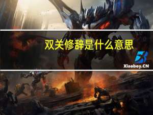 双关修辞是什么意思
