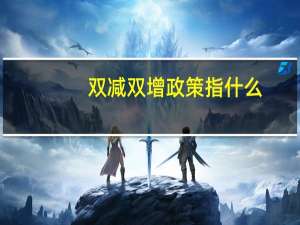 双减双增政策指什么