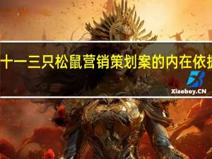 双十一三只松鼠营销策划案的内在依据是什么