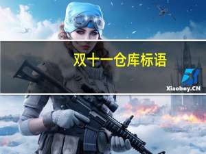 双十一仓库标语（仓库双十一口号）