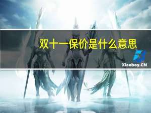 双十一保价是什么意思