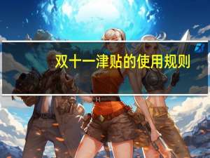 双十一津贴的使用规则（双11津贴）