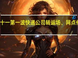 双十一第一波 快递公司转运场、网点件量大增