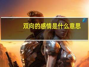 双向的感情是什么意思