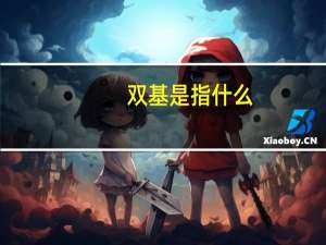 双基是指什么