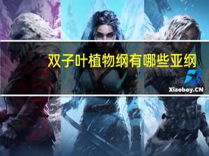 双子叶植物纲有哪些亚纲