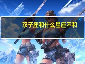 双子座和什么星座不和