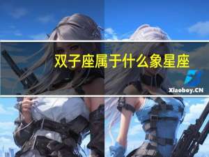 双子座属于什么象星座