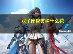 双子座应该种什么花