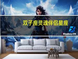 双子座灵魂伴侣星座