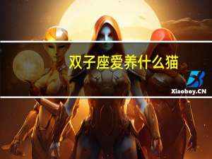 双子座爱养什么猫