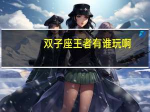 双子座王者有谁玩啊