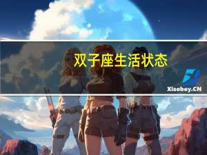 双子座生活状态