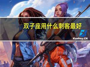 双子座用什么刺客最好