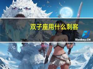双子座用什么刺客
