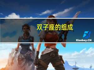 双子座的组成