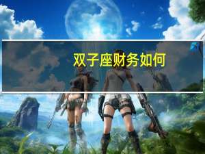 双子座财务如何