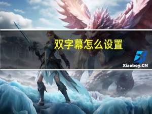 双字幕怎么设置（双字幕播放器）