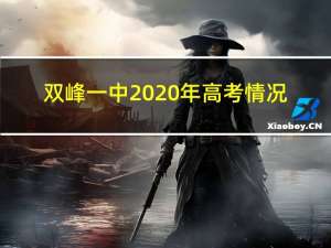 双峰一中2020年高考情况（双峰一中2020年高考）