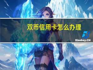 双币信用卡怎么办理（双币信用卡）