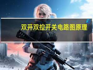 双开双控开关电路图原理