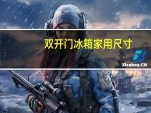 双开门冰箱家用尺寸