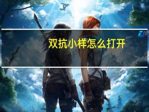 双抗小样怎么打开（双抗）