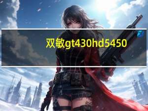 双敏gt430 hd5450（双敏gt430）