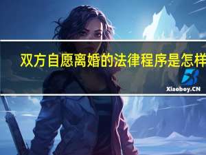双方自愿离婚的法律程序是怎样的