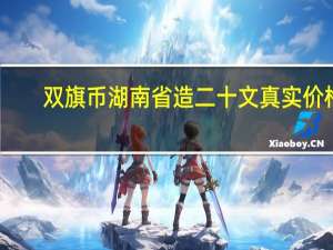 双旗币湖南省造二十文真实价格（双旗币湖南省造二十文真实价钱）
