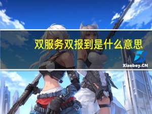 双服务双报到是什么意思