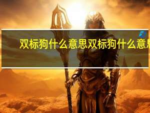 双标狗什么意思 双标狗什么意思