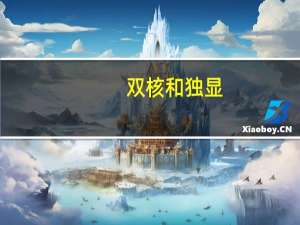 双核和独显（双核独显）