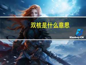 双核是什么意思（双核是什么意思）