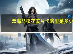 双海马 樱花姜片卡路里是多少