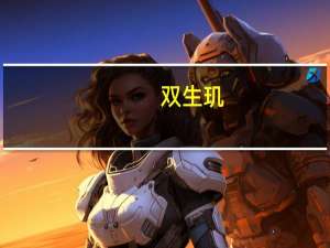 双生玑（双生玑）